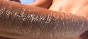 Hairy Arms are excited to present you with a xxx picture gallery showcasing Lori Anderson xxx gallery 148475